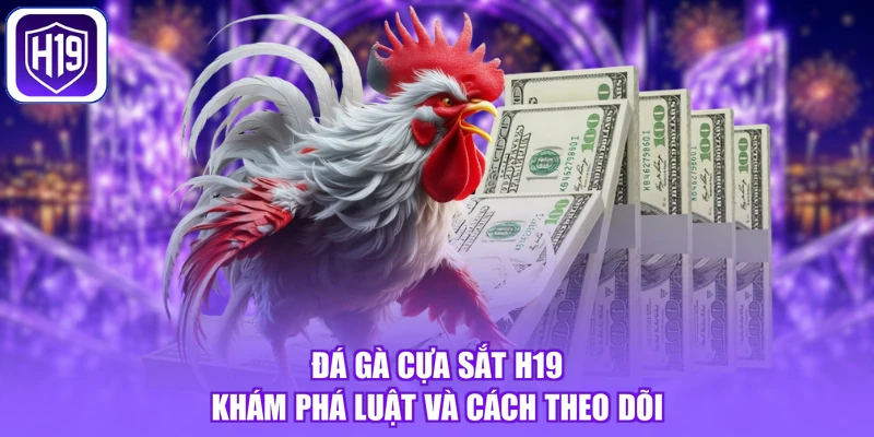 Đá Gà Cựa Sắt H19 - Khám Phá Luật Và Cách Theo Dõi