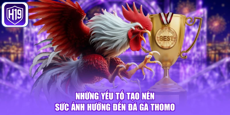 Những yếu tố tạo nên sức ảnh hưởng đến đá gà Thomo